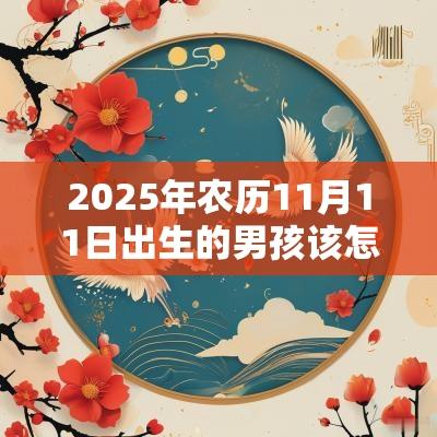 2025年农历11月11日出生的男孩该怎么取名男孩子好名字参考大全