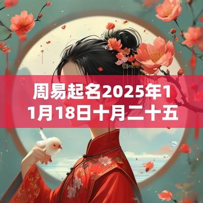 周易起名2025年11月18日十月二十五出生的女孩缺火取名推荐