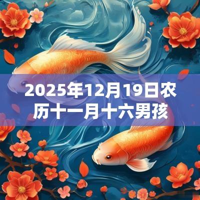 2025年12月19日农历十一月十六男孩五行八字解读缺木火的起名宜用字
