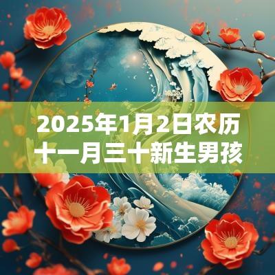2025年1月2日农历十一月三十新生男孩五行八字解读属木的起名宜用字