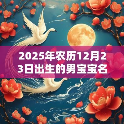 2025年农历12月23日出生的男宝宝名字推荐好听又特别的男孩名字