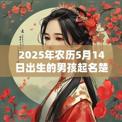 2025年农历5月14日出生的男孩起名楚辞周易出自楚辞经典男孩名字大全