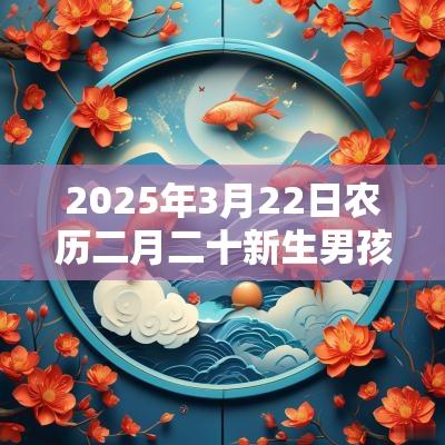 2025年3月22日农历二月二十新生男孩五行命理解析缺金火取名