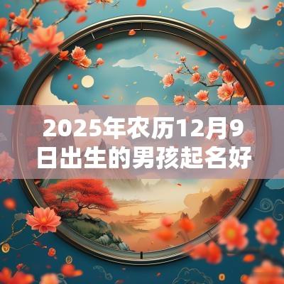 2025年农历12月9日出生的男孩起名好寓意的字大气的名字推荐