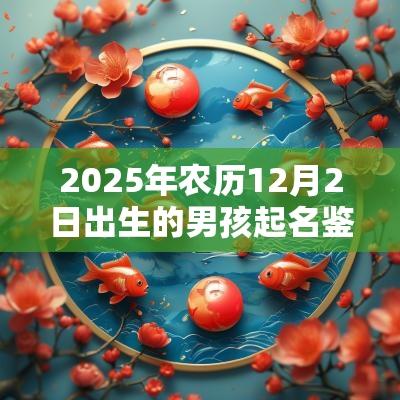 2025年农历12月2日出生的男孩起名鉴赏好听有寓意的名字