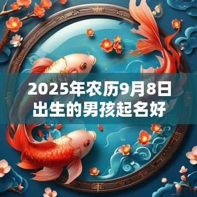 2025年农历9月8日出生的男孩起名好寓意的字八字缺火男孩名字大全