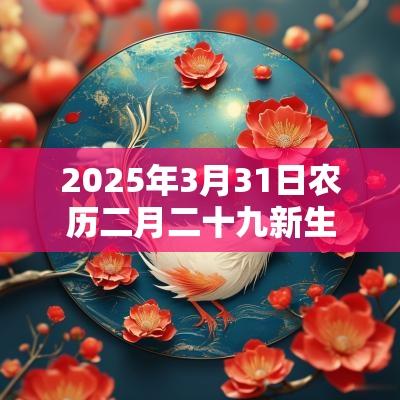 2025年3月31日农历二月二十九新生女孩属水取名高分名字建议