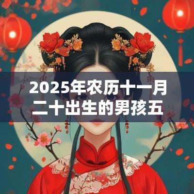 2025年农历十一月二十出生的男孩五行取名打分缺火缺土的最佳宜用字