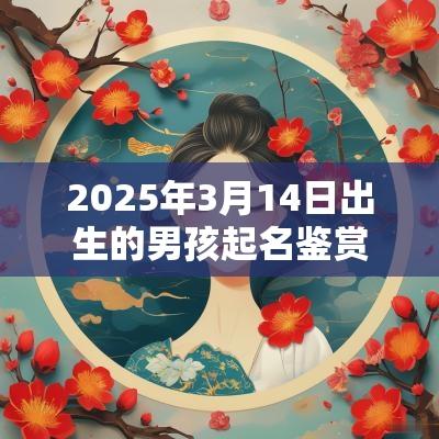 2025年3月14日出生的男孩起名鉴赏高冷霸气的男孩名字推荐