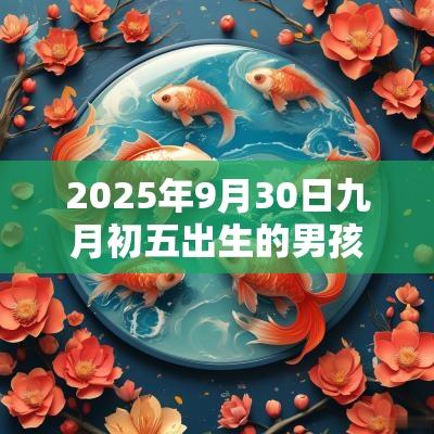 2025年9月30日九月初五出生的男孩五行命理解析补火取名旺运