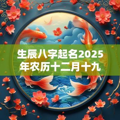 生辰八字起名2025年农历十二月十九出生的孩子八字命理分析