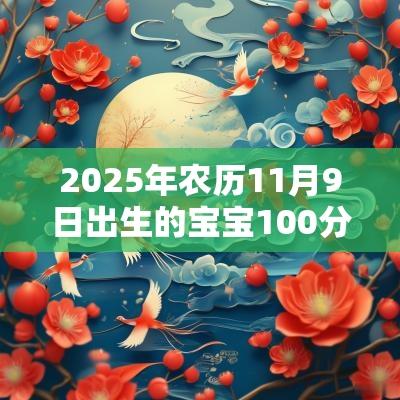 2025年农历11月9日出生的宝宝100分的名字不错的名字