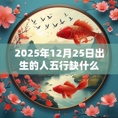 2025年12月25日出生的人五行缺什么五行缺金的名字推荐