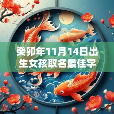 癸卯年11月14日出生女孩取名最佳字有涵养的人属蛇女宝宝名字