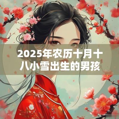 2025年农历十月十八小雪出生的男孩八字好吗今日五行缺火取名