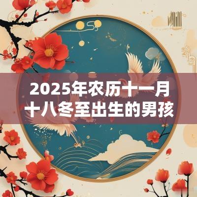 2025年农历十一月十八冬至出生的男孩好不好八字五行查询取名