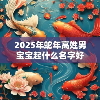 2025年蛇年高姓男宝宝起什么名字好温暖细腻的男生名字大全