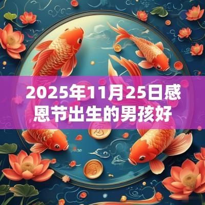 2025年11月25日感恩节出生的男孩好不好五行八字周易起名
