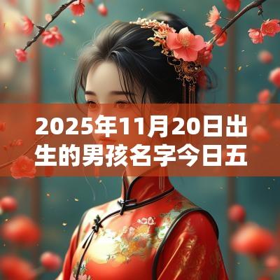 2025年11月20日出生的男孩名字今日五行缺木火在线取名
