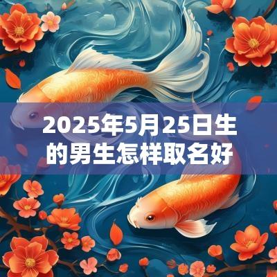 2025年5月25日生的男生怎样取名好霸气的蛇宝宝名字赏析