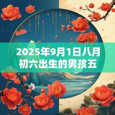 2025年9月1日八月初六出生的男孩五行命理解析补火取名旺运