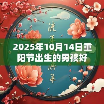 2025年10月14日重阳节出生的男孩好不好五行八字周易起名