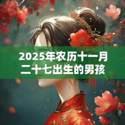 2025年农历十一月二十七出生的男孩好不好八字五行查询取名