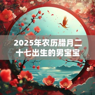 2025年农历腊月二十七出生的男宝宝五行缺金独特个性的名字