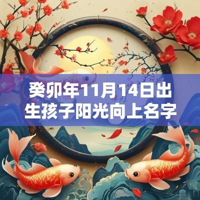 癸卯年11月14日出生孩子阳光向上名字令人心动的的女宝宝名称