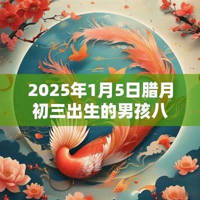 2025年1月5日腊月初三出生的男孩八字算命五行缺木水的名字