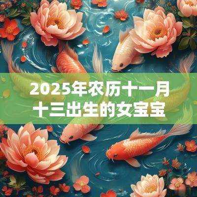 2025年农历十一月十三出生的女宝宝八字算命五行缺土的名字