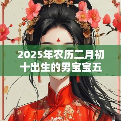 2025年农历二月初十出生的男宝宝五行旺缺缺金火免费八字起名