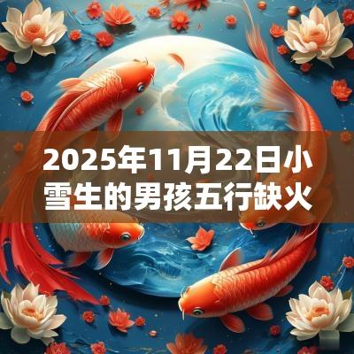 2025年11月22日小雪生的男孩五行缺火土今日取名宝典