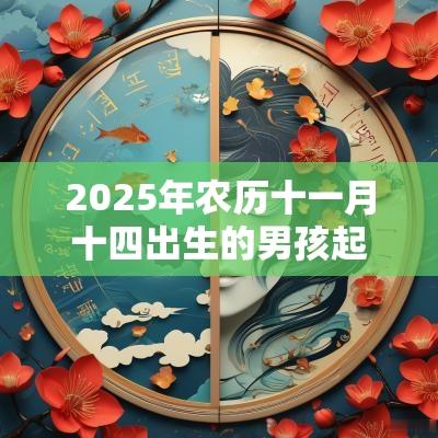 2025年农历十一月十四出生的男孩起名新生儿五行缺土的名字