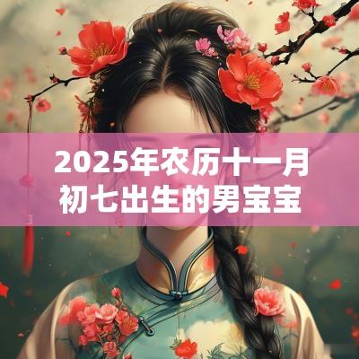 2025年农历十一月初七出生的男宝宝五行查询缺土怎么取名好