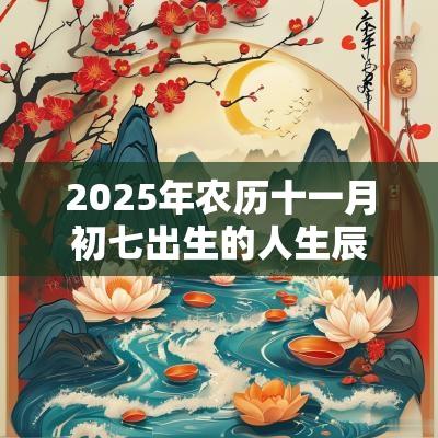 2025年农历十一月初七出生的人生辰八字五行查询怎么取名好