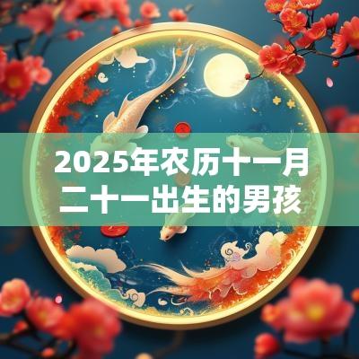 2025年农历十一月二十一出生的男孩五行命理解析补火取名旺运