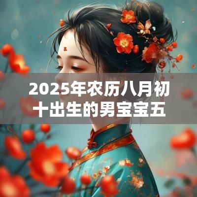 2025年农历八月初十出生的男宝宝五行旺缺缺火免费八字起名