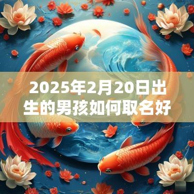 2025年2月20日出生的男孩如何取名好运加持的新生儿名字