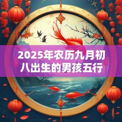 2025年农历九月初八出生的男孩五行取名打分缺火的最佳宜用字