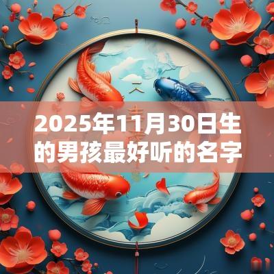 2025年11月30日生的男孩最好听的名字五行缺土男孩名字