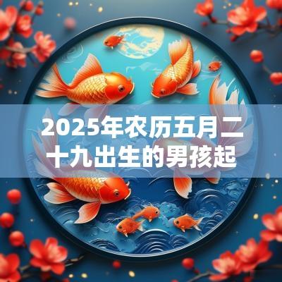 2025年农历五月二十九出生的男孩起名新生儿五行属火的名字