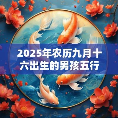 2025年农历九月十六出生的男孩五行八字解读高分的名字