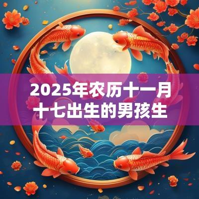 2025年农历十一月十七出生的男孩生辰今日周易五行取名