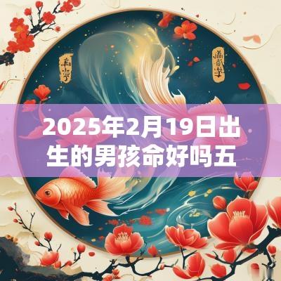 2025年2月19日出生的男孩命好吗五行缺水火吉利取名