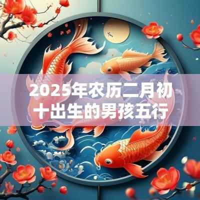 2025年农历二月初十出生的男孩五行缺什么今日八字取名