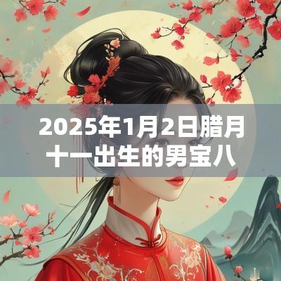 2025年1月2日腊月十一出生的男宝八字起名取名宜用字