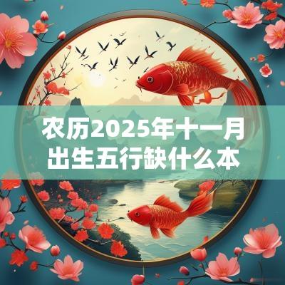 农历2025年十一月出生五行缺什么本月宝宝结合五行取名