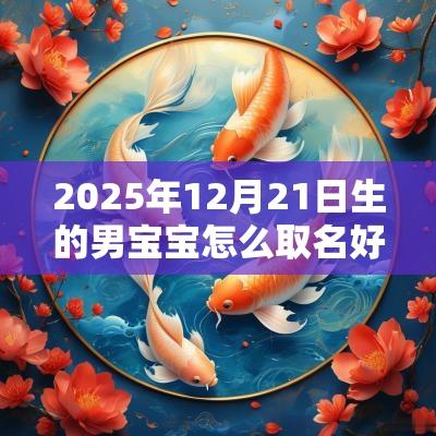 2025年12月21日生的男宝宝怎么取名好听的男孩名字