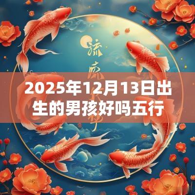 2025年12月13日出生的男孩好吗五行缺火怎样取名字